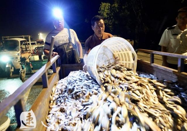 休渔五个月,骆马湖今晨开捕