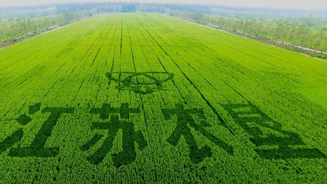 江苏农垦打造现代农业航空母舰