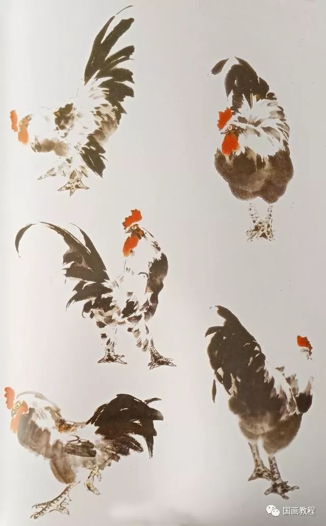 水墨小鸡的画法步骤图片