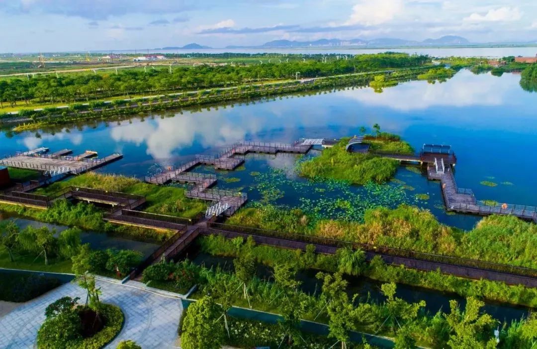珠海芒洲湿地公园介绍图片