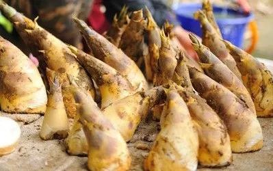 第七届绿竹笋文化旅游节于福安市溪柄镇开幕