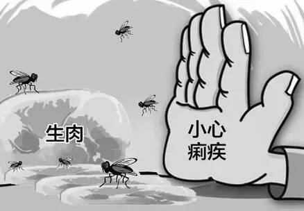 夏季宝宝腹泻,当心细菌性痢疾!(宝妈必看)