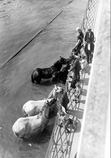 08 gamma-keystone via getty images1929年,钓鱼还是钓马子08