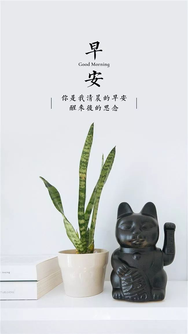 朋友圈非常走心的早安心情句子句句入心窝