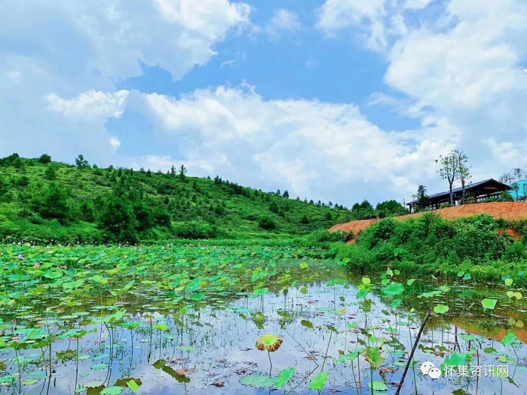 一探美景肇慶這個國家溼地公園工程進度如何