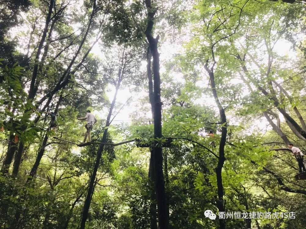 【衢州恒龙】新发现九华大荫山滑鼠丛林驾享之旅圆满结束.