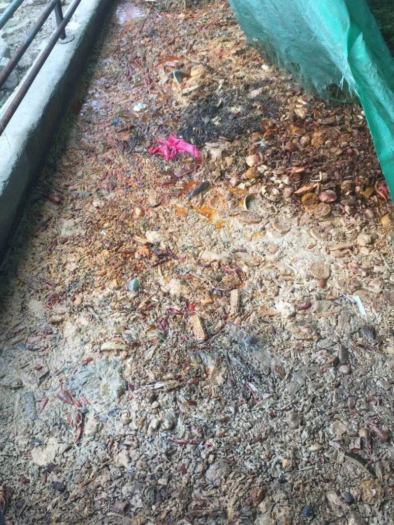 看到现场堆放着不少潲水桶,里面装满了餐厨垃圾