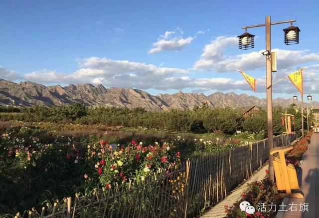 贾亮大雁滩金杏黄时