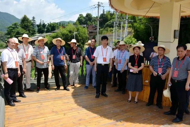 闽清县人大常委会以发展为中心寓监督于支持