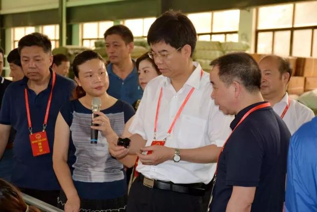 闽清县人大常委会以发展为中心寓监督于支持