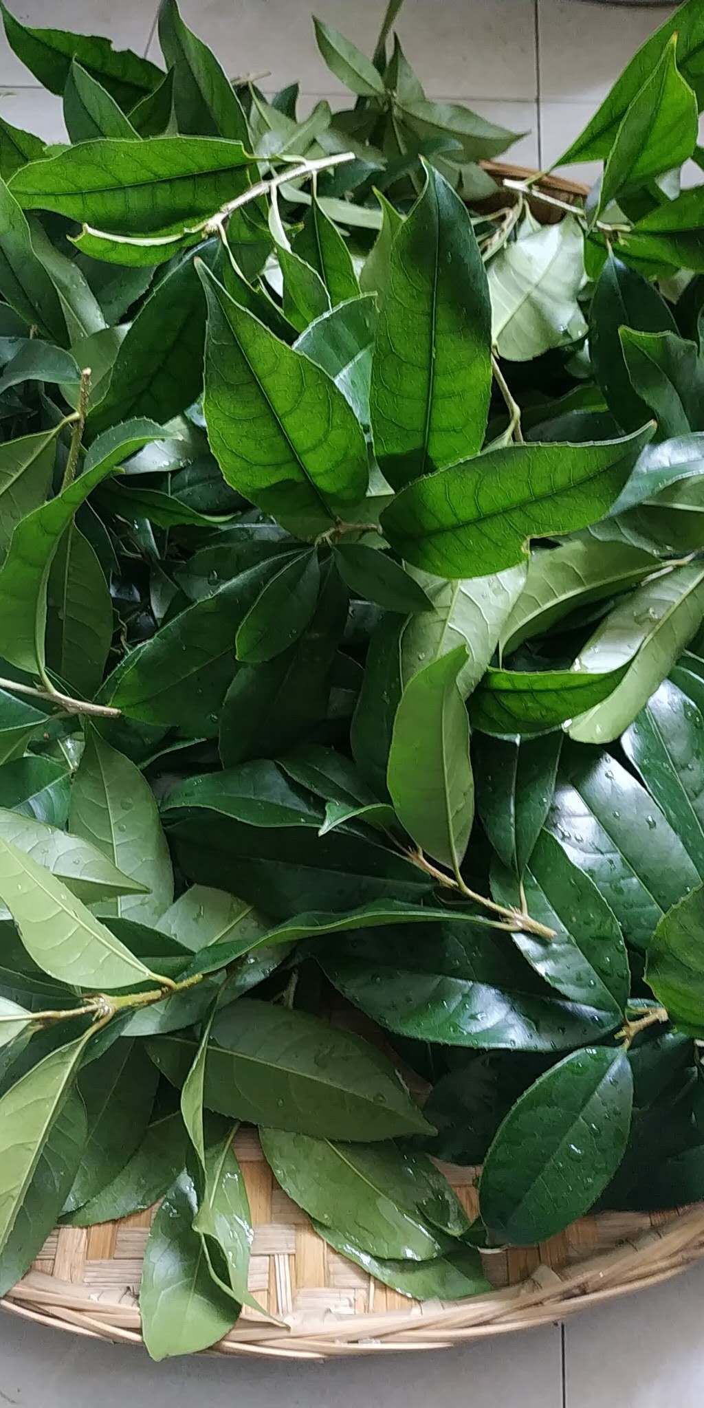 怎样做传统药曲?