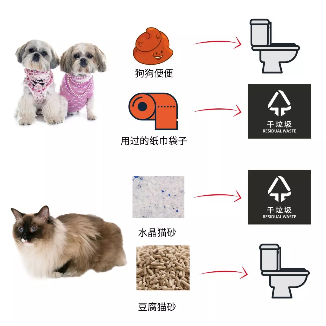 垃圾分类的第一天这对活宝夫妻拎清爽了伐