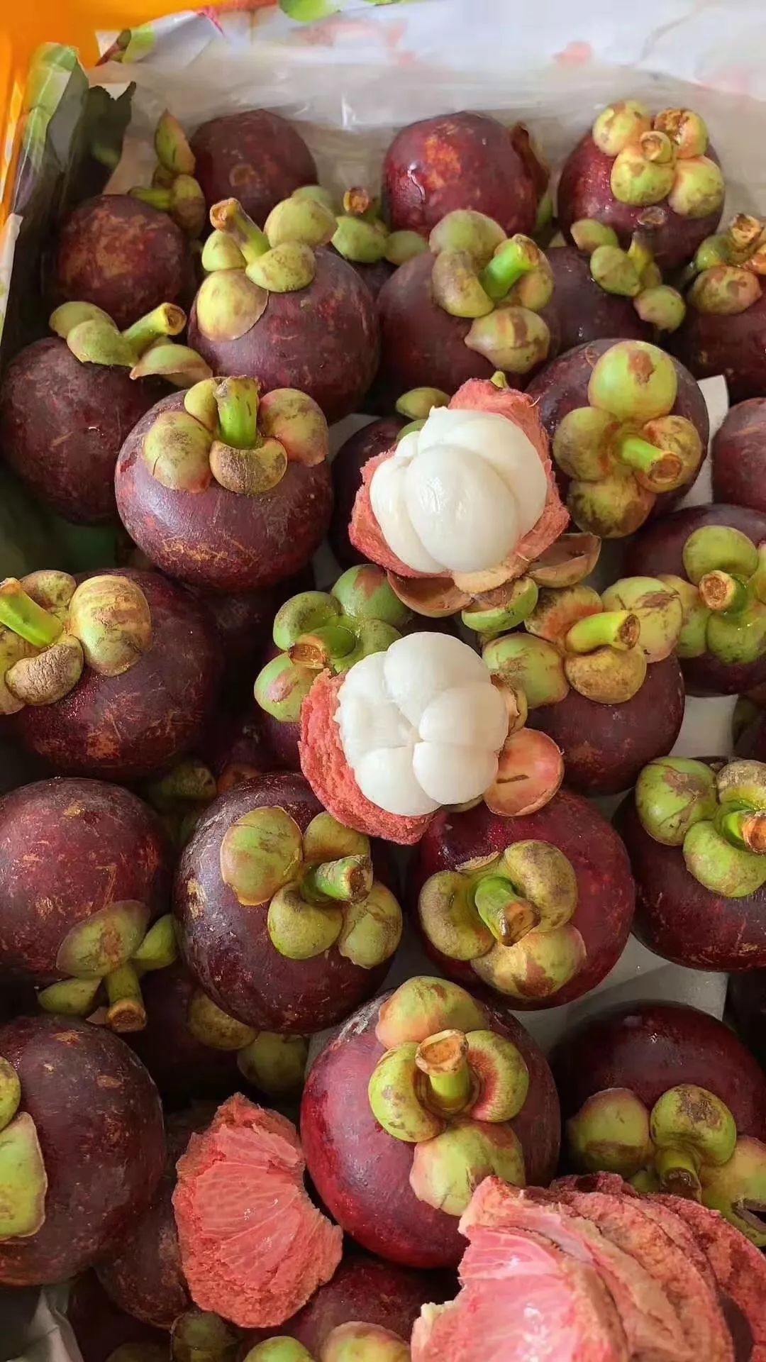 山竹,火龙果渠道价,低到无法想象!