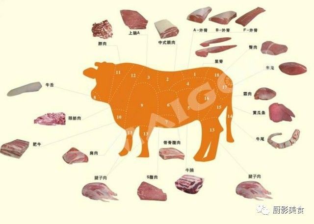 庖丁解牛牛肉各部位吃法大全