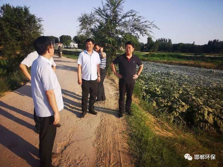 邯郸鸡泽县委书记石磊调研河流治理工作
