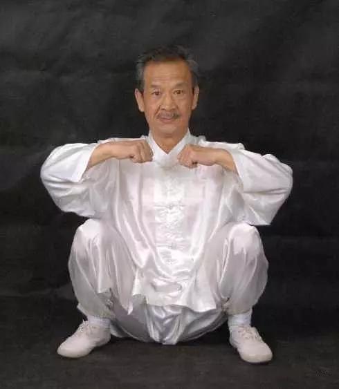 武学大师孙存周的拳论思想道真