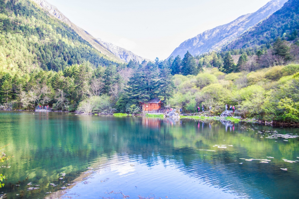炎炎夏日不知道去哪好来康定情歌木格措风景区避暑赏花吧