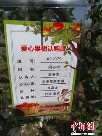 苹果树树牌图片