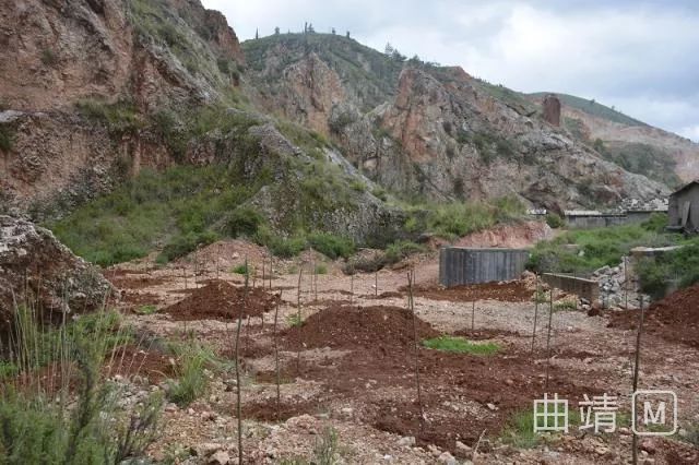 据了解,大龙潭,汤官箐村两个废弃矿山占地73亩
