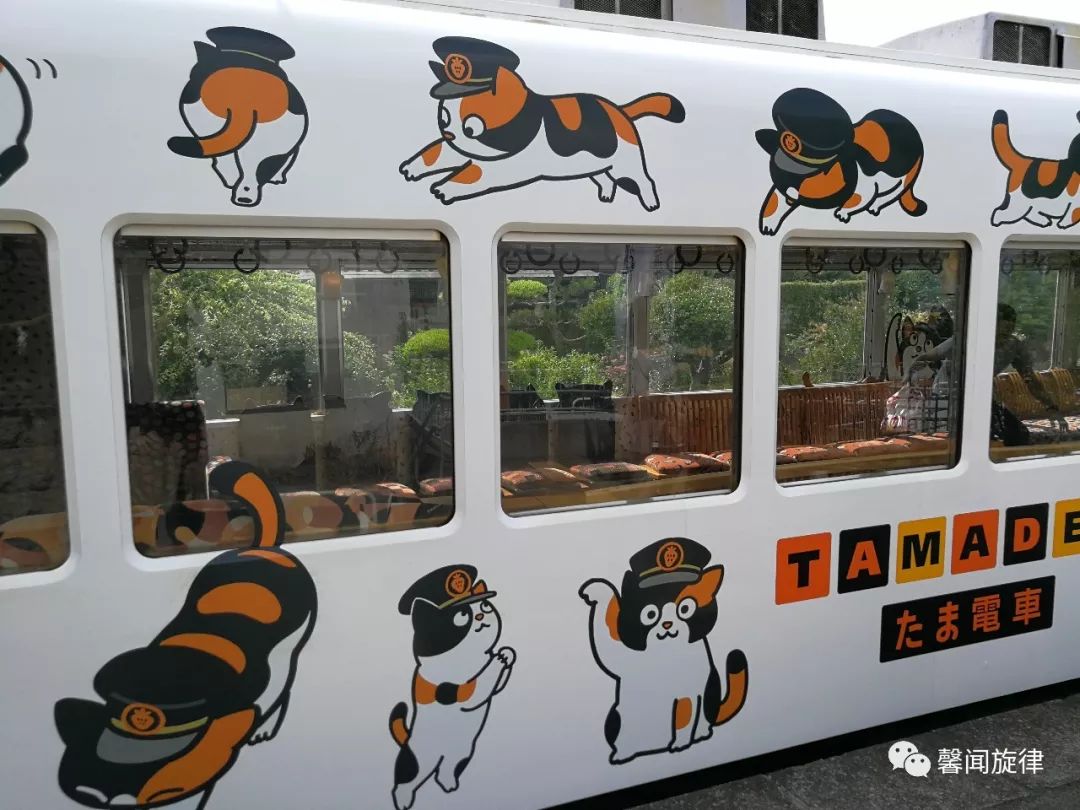 知床旅情在日本坐了趟猫咪火车