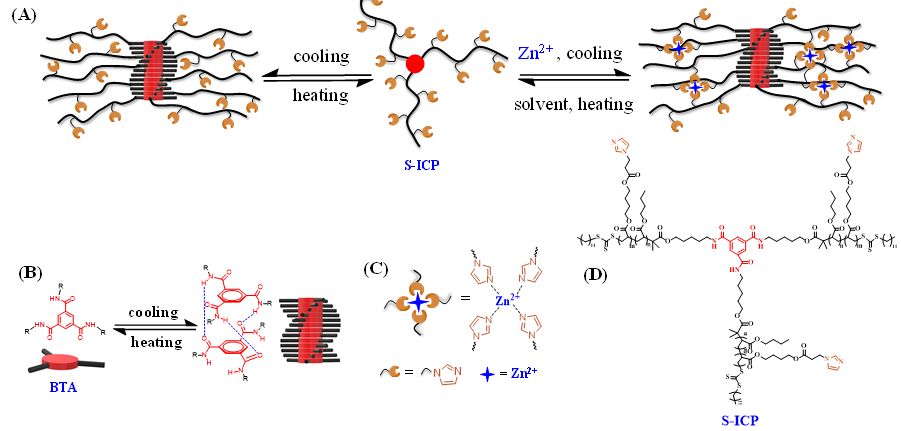图1(a) 基于bta的三臂结构聚合物的组装及金属配位交联示意图,(b) bta