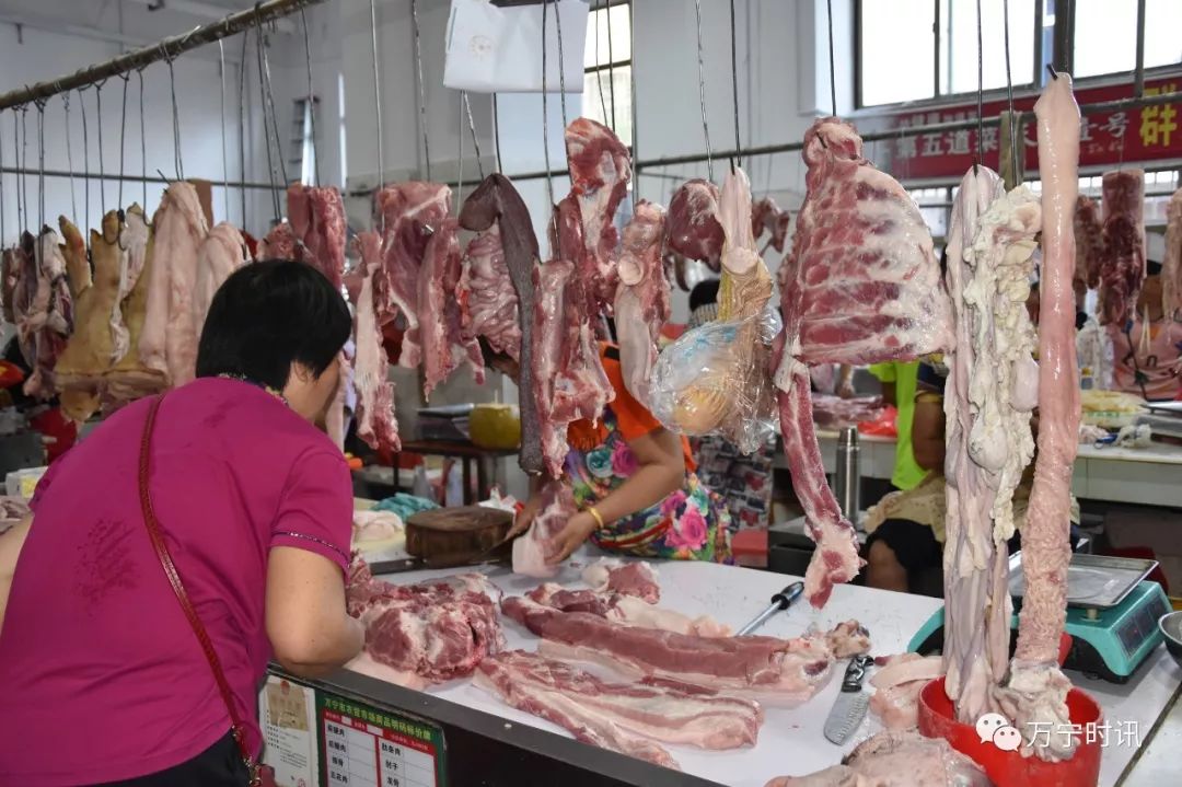 我市目前生猪存栏量10万余头市场猪肉销售已逐渐步入正轨