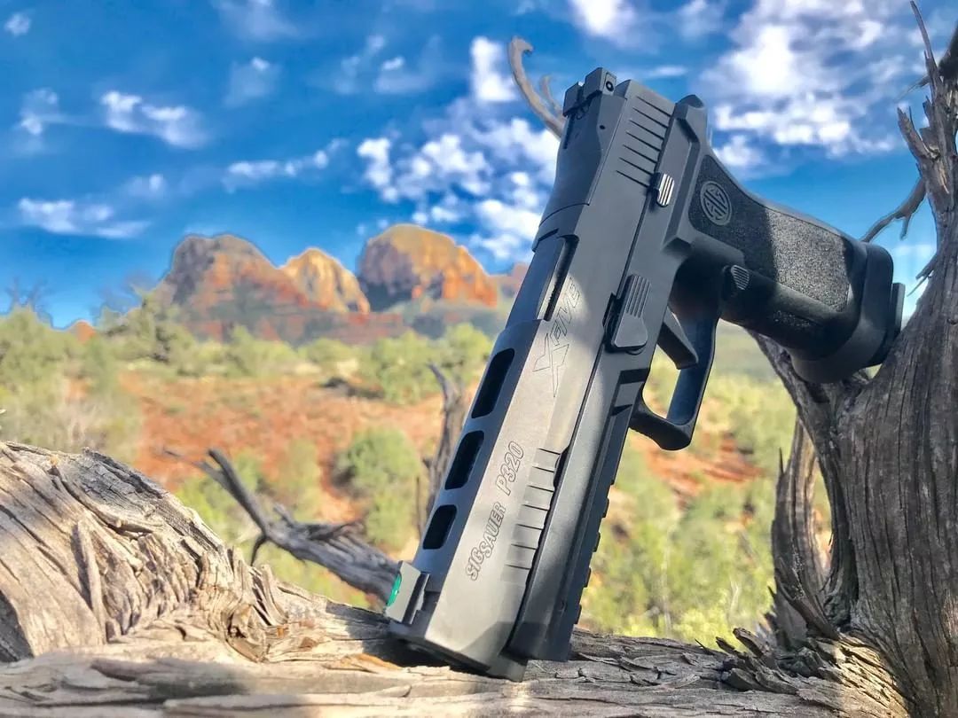 sigsauer手枪图集别人家的枪为神马就那么好看