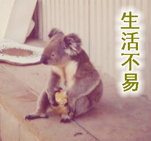 300_280gif 动态图 动图