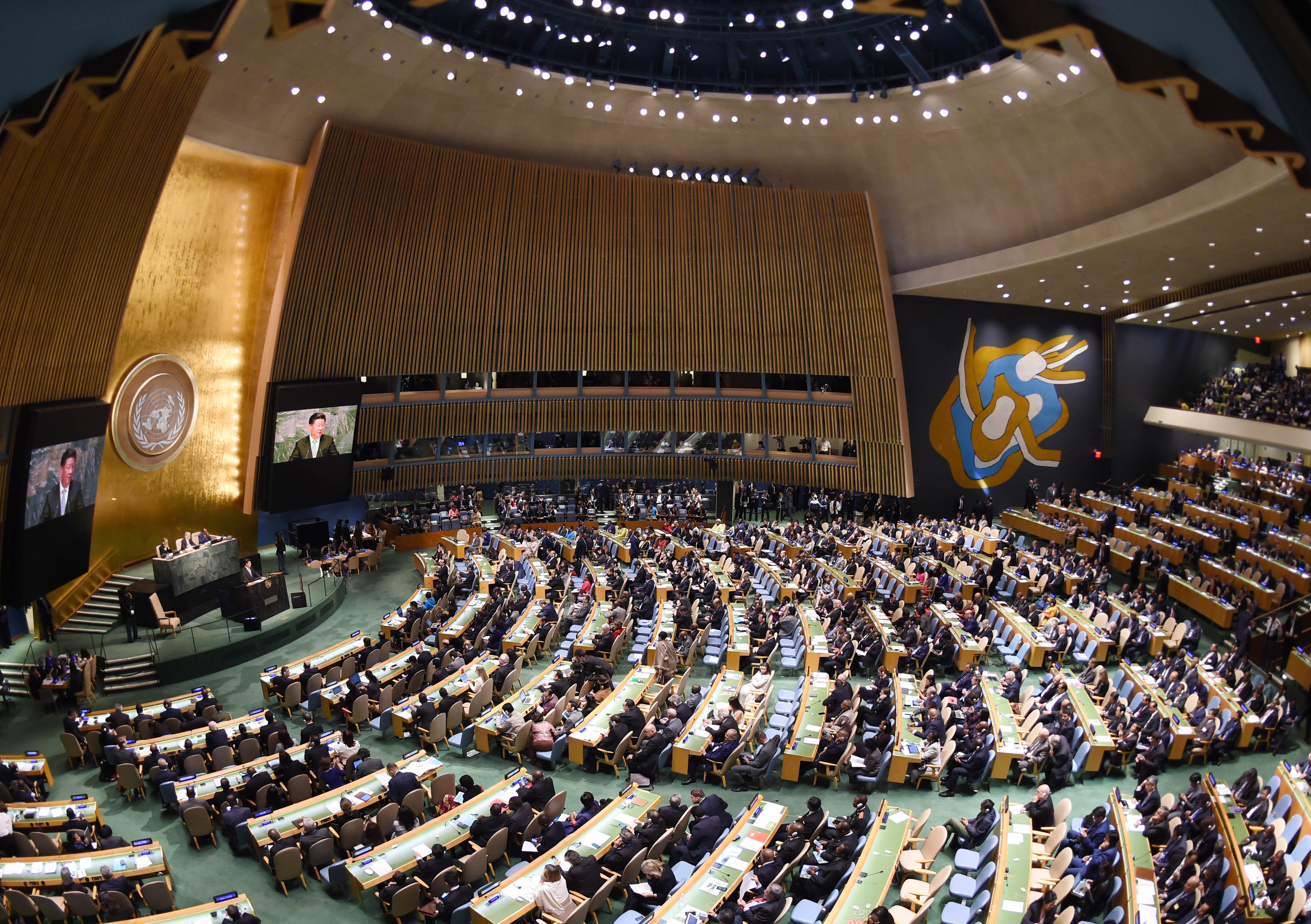 联合国圆桌会议图片