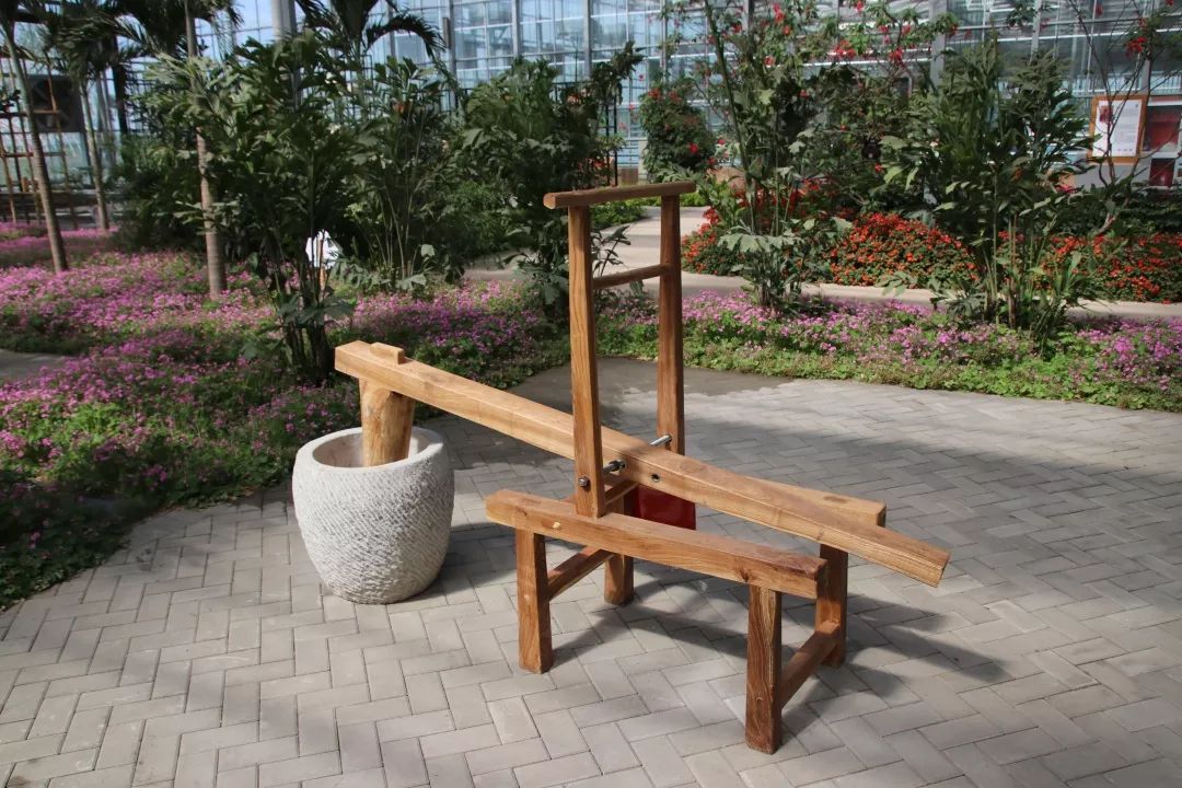 徐水本人持高考中考准考证免费打卡神农园蔬果采摘持证