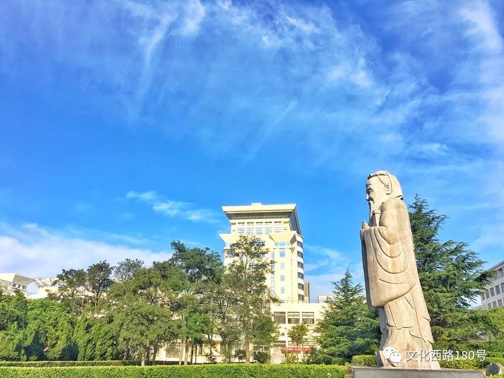 6月20日晨,盛开的合欢花.