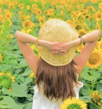 向日葵花海,ins森林风,亲子玩乐地!地铁直达好玩地原来这么多!