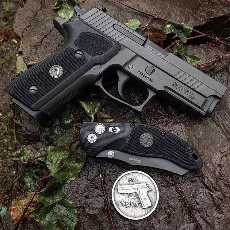 sigsauer手枪图集别人家的枪为神马就那么好看