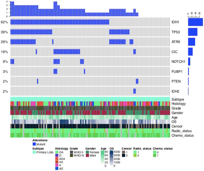 2000例脑胶质瘤多组学数据发布中国脑胶质瘤基因组图谱cgga