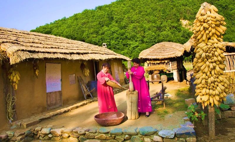 朝鲜族民俗村两日自驾游_金达莱