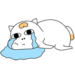 逾期后果很严重哦_机动车