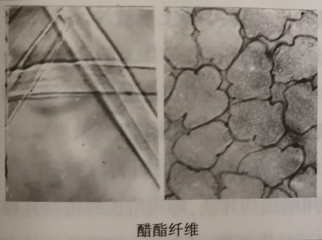 (8)醋酯纤维:横截面形态:三叶形或不规则锯齿形;纵面形态:表面有纵向