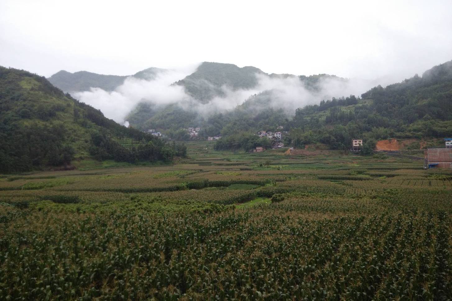 贵州省罗甸县逢亭镇特大暴雨引发山洪冲垮公路