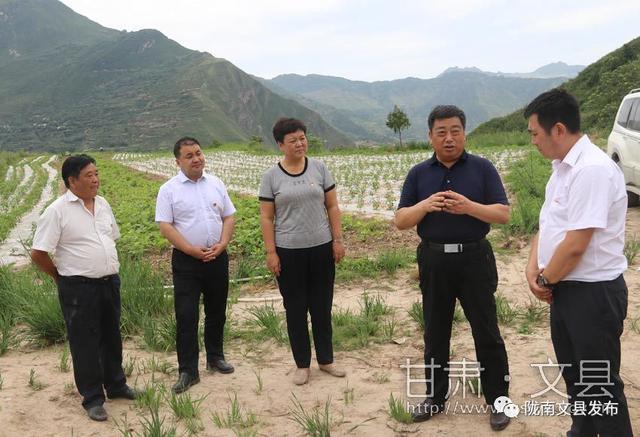 苏彦君在天池镇桥头镇检查指导灾后重建,脱贫攻坚等工作