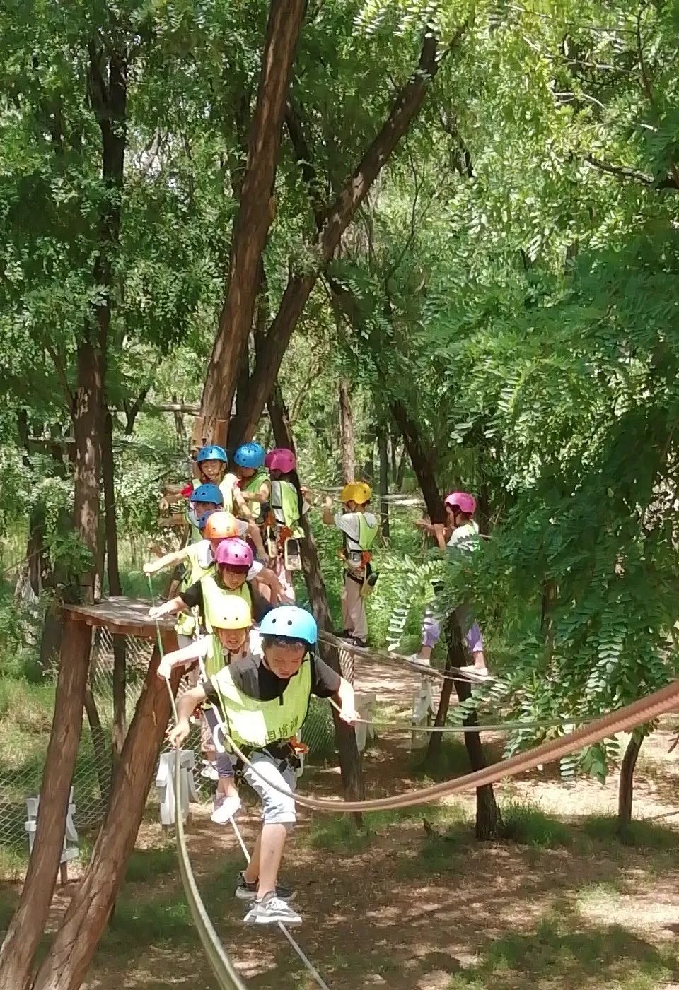 暑期研學飛越叢林綻放夢想大冒險研學之旅第二期第一日紀實