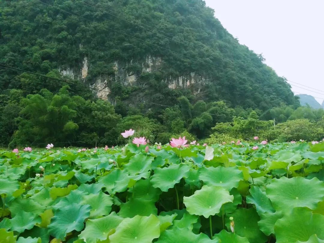爱美食的小仙女在桂林阳朔旅行笔记真实图片欣赏