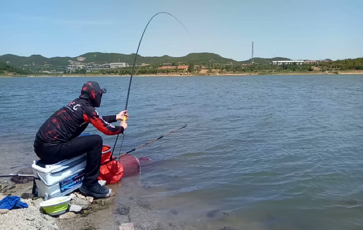 夏季水库钓鲤鱼正好用到这款自制饵