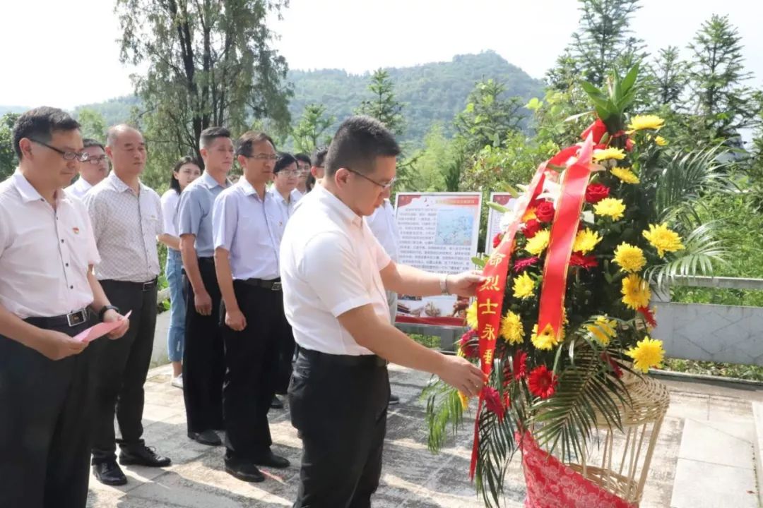 南陵县委书记王丰图片