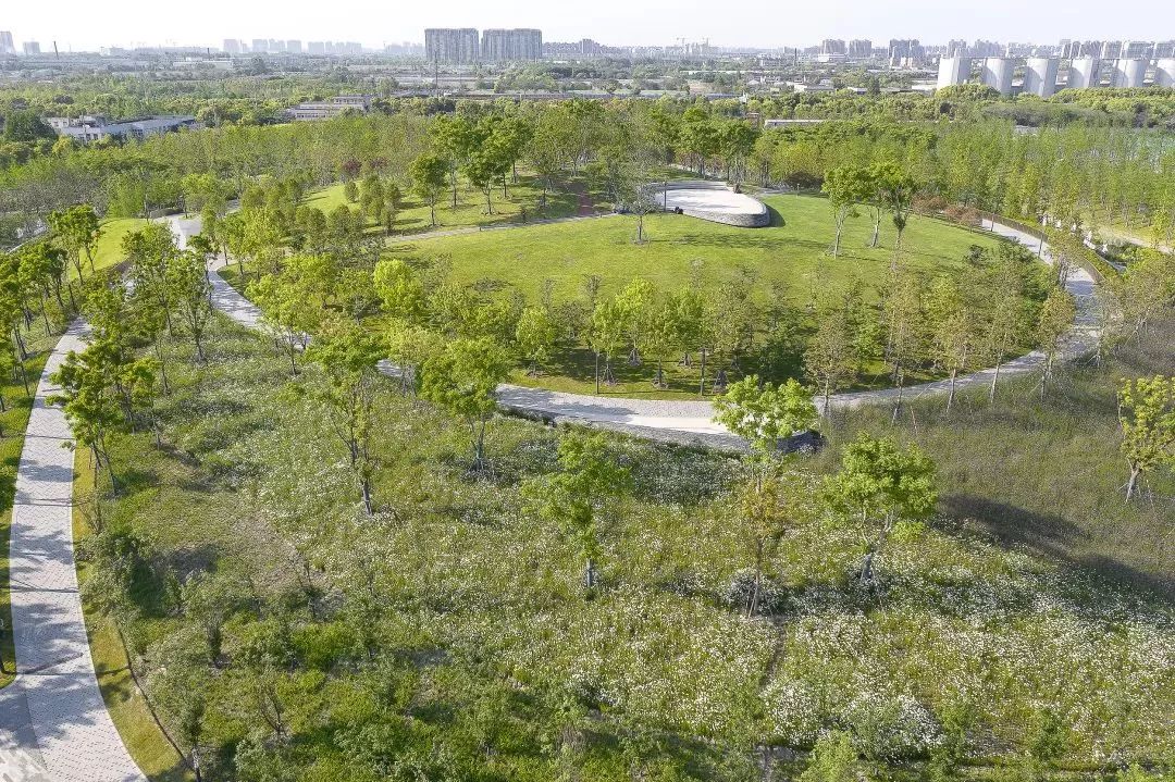 【深度访谈】棕地转型"新自然"——桃浦中央绿地(一期)|jcfo 上海市