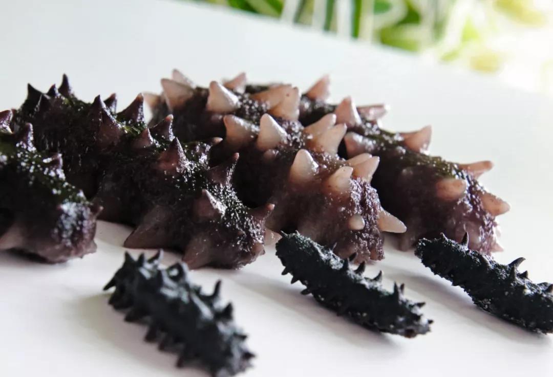 圣同润不是每只海参都能称作圣同润群岛牌速发海参