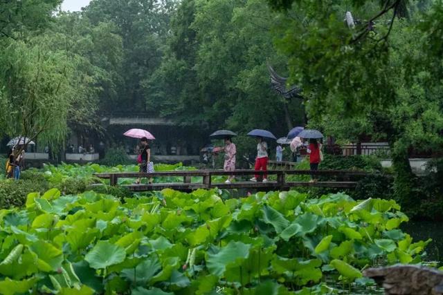 拙政园荷花节开幕以荷花的名义邀你过别样的盛夏