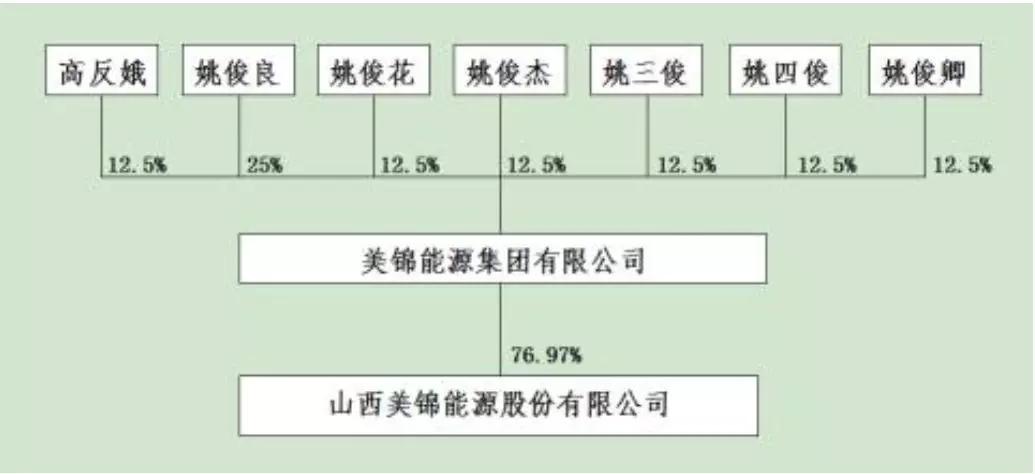 美锦集团姚俊杰简历图片