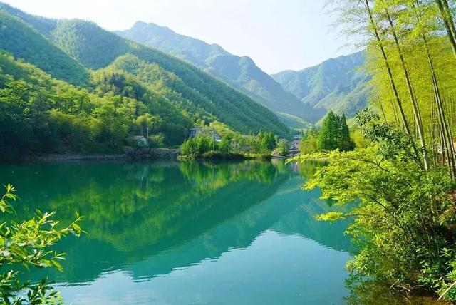 盛夏躲进安吉这座清凉竹海里民宿隐世避暑,无边泳池,漂流丨简爱_竹林