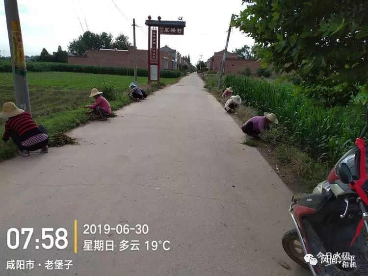 张耳村解马路铲除杂草,清理垃圾.