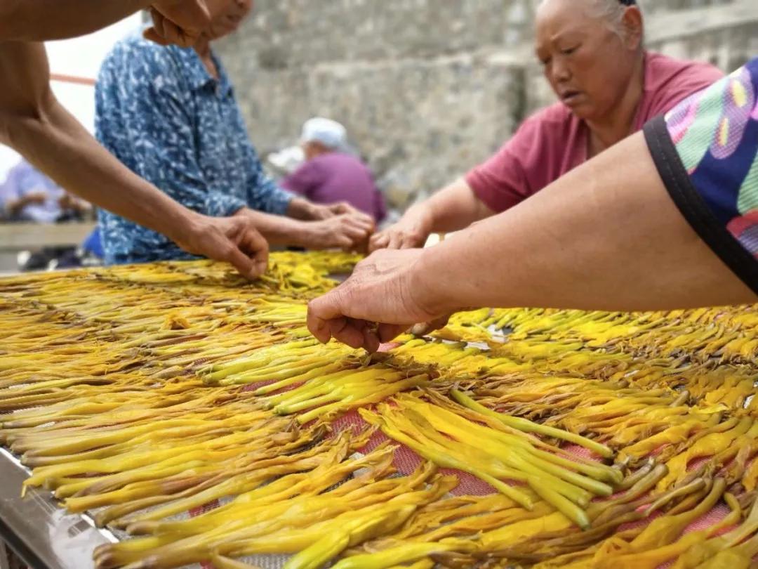 黄花菜都凉了你还不来看看吗